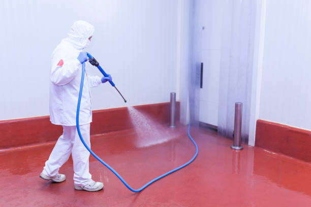 Best Rust Removal  in Burr Ridge, IL